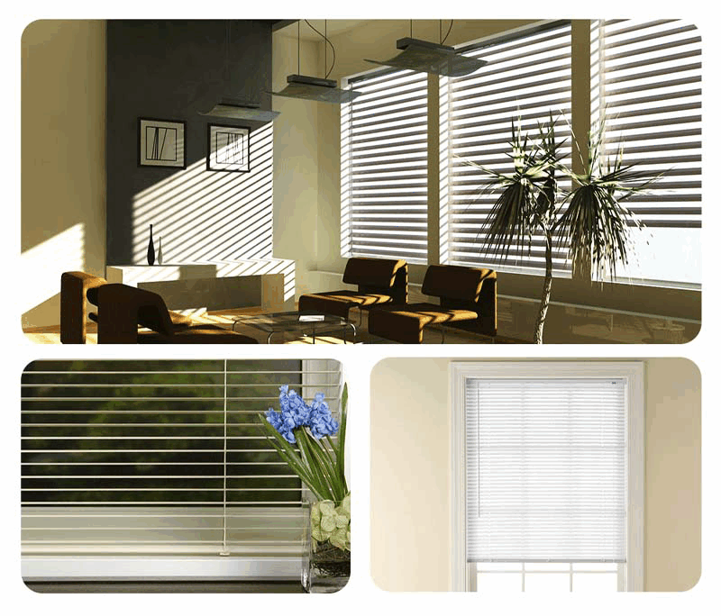 next venetian blinds